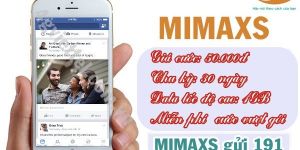 MIMAXS